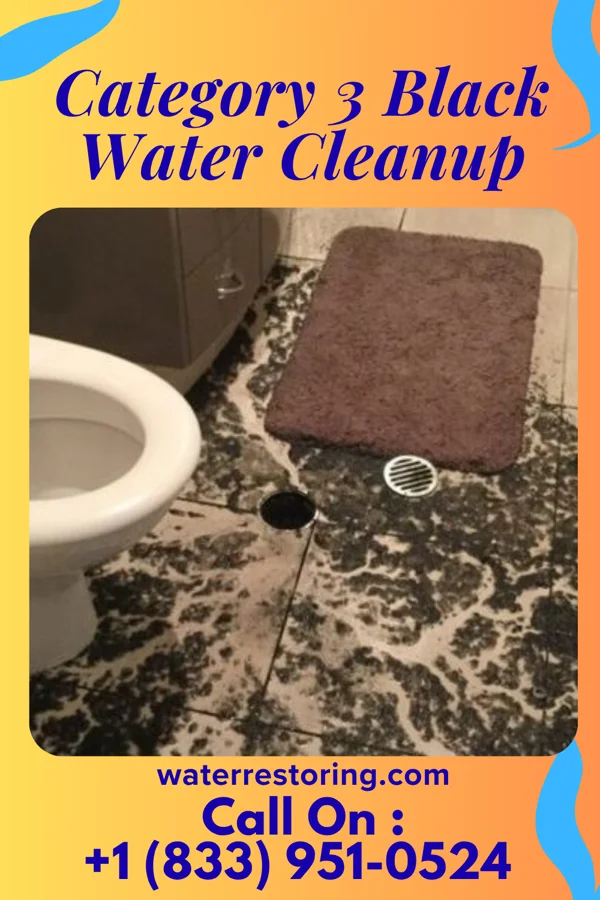 Category 3 Black Water Cleanup in Sag Harbor, NY