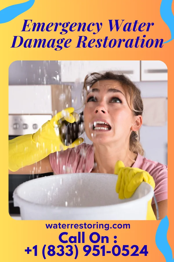 Emergency Water Damage Restoration in Sag Harbor, NY