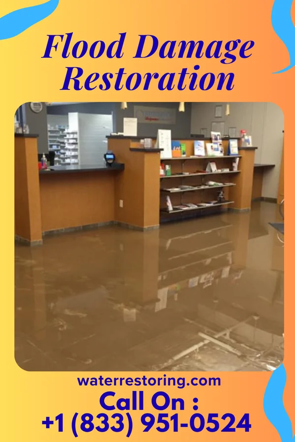 Flood Damage Restoration in Sag Harbor, NY