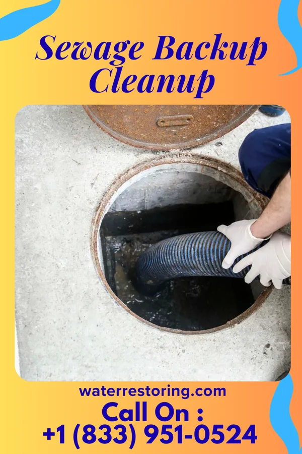 Sewage Backup Cleanup in Sag Harbor, NY